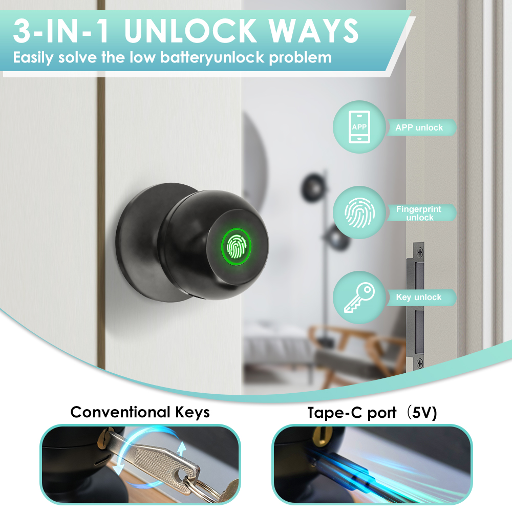 Tuya Elektronisches Türschloss – Smart Home Technology Bewertung und Preis