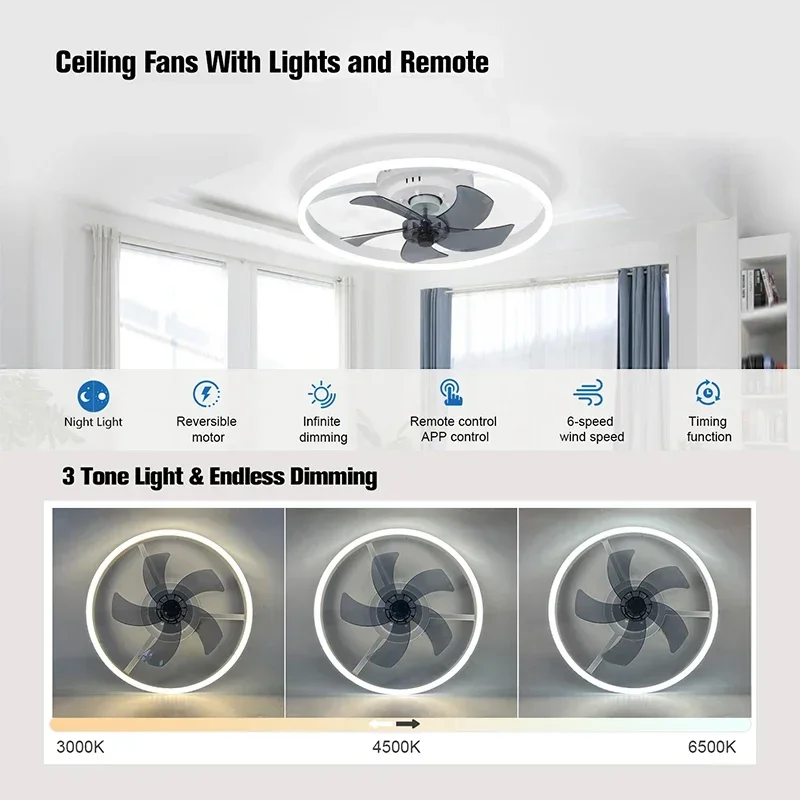 Intelligenter, leiser, moderne – Smart Ceiling Fan Bewertung und Preis