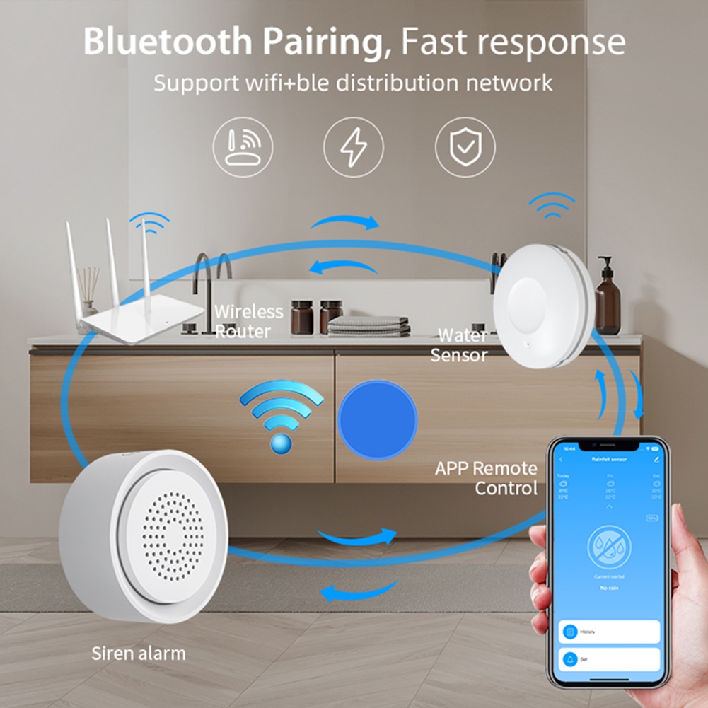 BTLIFE-Hochwasserdetektor mit  – Smart Home Kit Bewertung und Preis